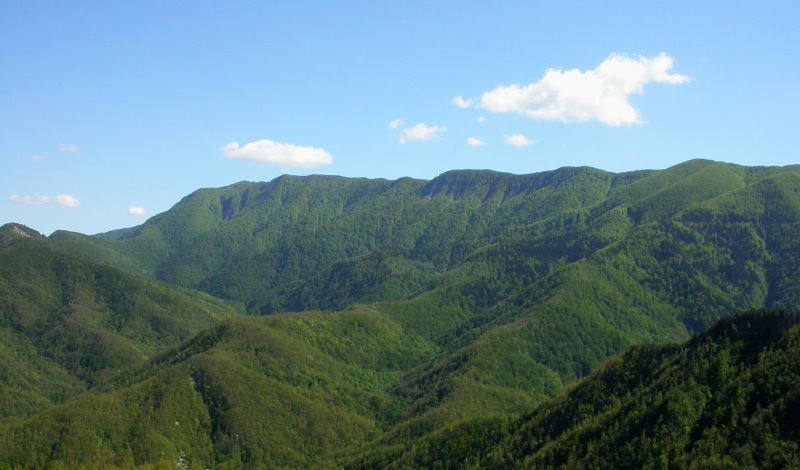 L Area Protetta Parco Nazionale Foreste Casentinesi